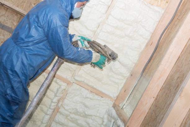 Best Spray Foam Insulation  in Palestine, TX